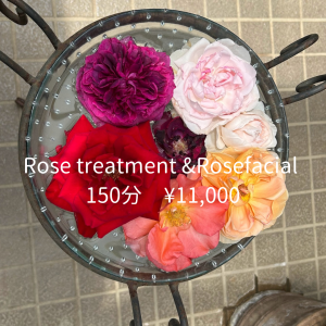 Rose treatment &faicial
