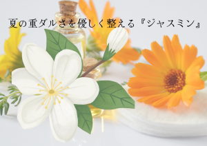 名称未設定 (A4(横))