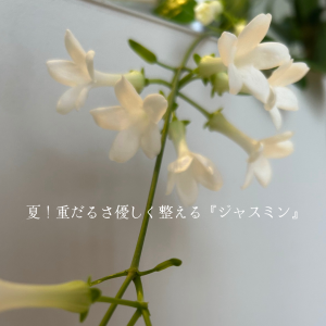 夏！重だるさ優しく整える『ジャスミントリートメント』 (Instagramの投稿)