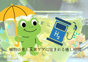 梅雨のリトリート
